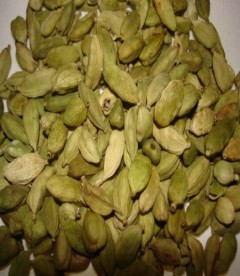 Cardamom