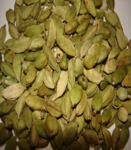 Cardamom